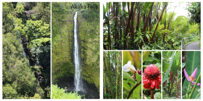 Akaka Falls State Park