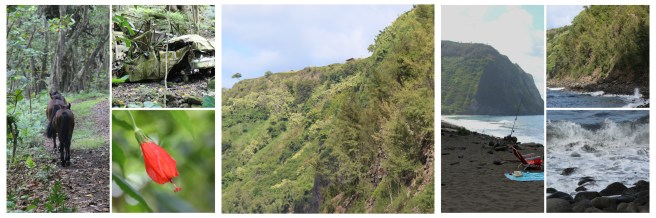 Waipi'o Valley