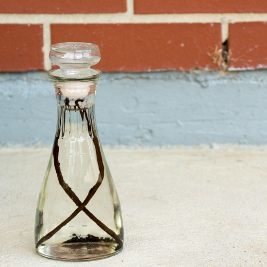 Vanilla Extract FG1