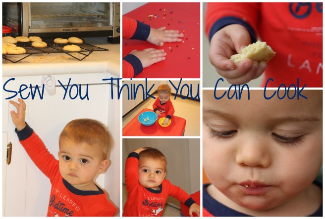mantecaditos (baby) | sew you think you can cook