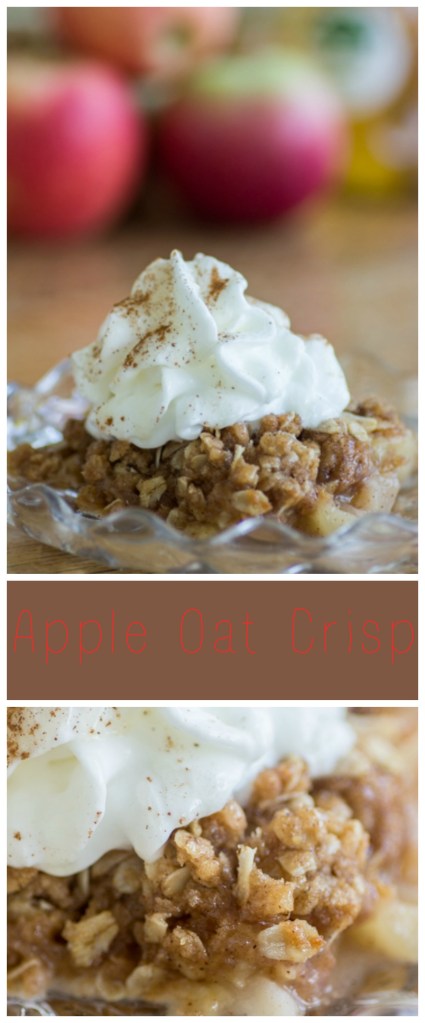 Apple Oat Crisp | Sew You Think You Can Cook | http://sewyouthinkyoucancook.com