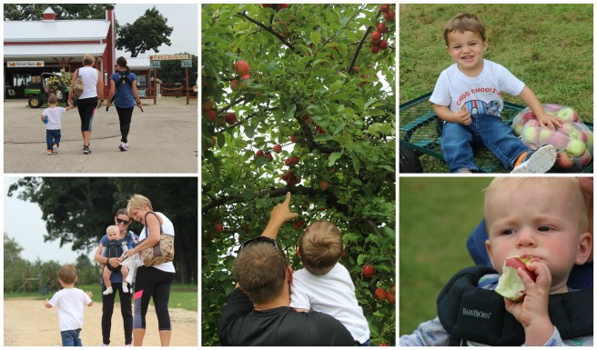 apple-picking-2016