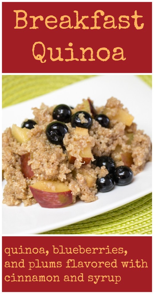 Breakfast Quinoa for Secret Recipe Club from Sew You Think You Can Cook