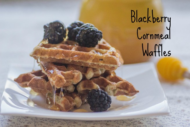 Blackberry Cornmeal Waffles | Sew You Think You Can Cook | http://sewyouthinkyoucancook.com (1)