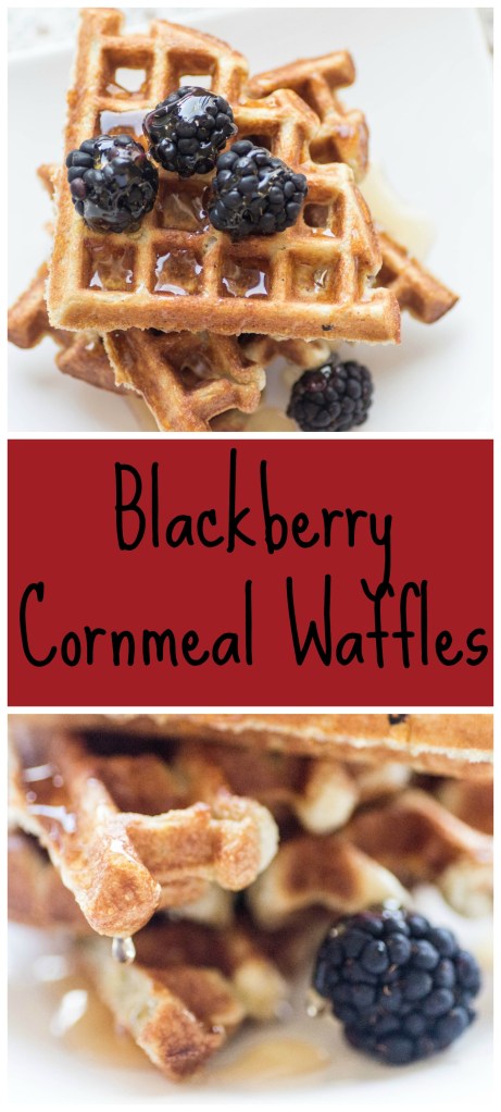 Blackberry Cornmeal Waffles | Sew You Think You Can Cook | http://sewyouthinkyoucancook.com