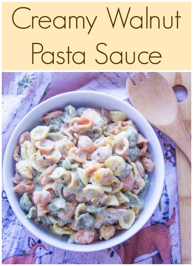 Creamy Walnut Pasta Sauce | Sew You Think You Can Cook | http://sewyouthinkyoucancookk.com