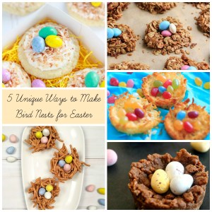 5 Easter Bird Nests | Sew You Think You Can Cook