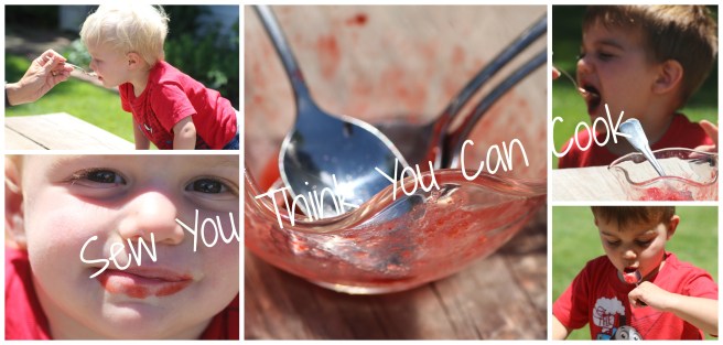 Strawberry Honey Sorbet (kids) | Sew You Think You Can Cook