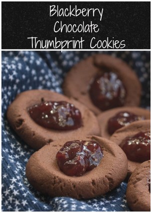 Blackberry Chocolate Thumbprint Cookies for #DarkRecipes #SolarEclipse