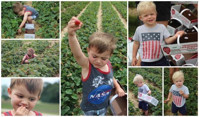 kids berry picking